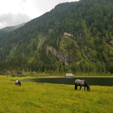 Hotel Mallnitz شقة