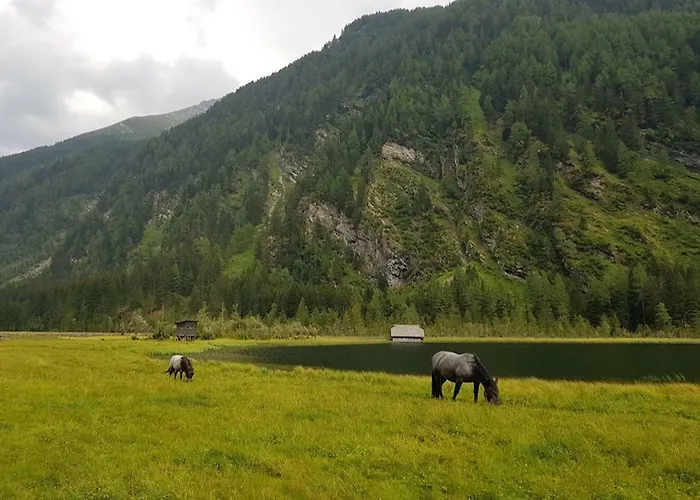 Hotel Mallnitz Apartment